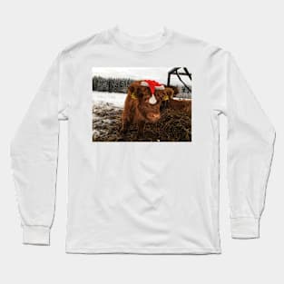 Scottish Highland Cattle Calf 1628 Long Sleeve T-Shirt